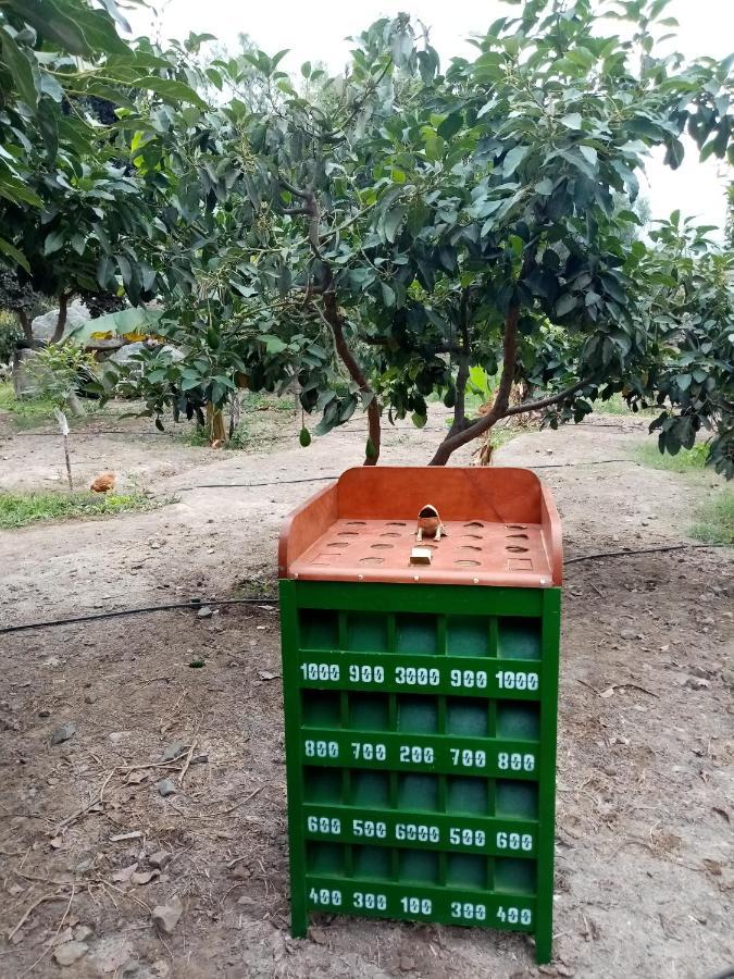 O En Fundo Huabayor * Lima