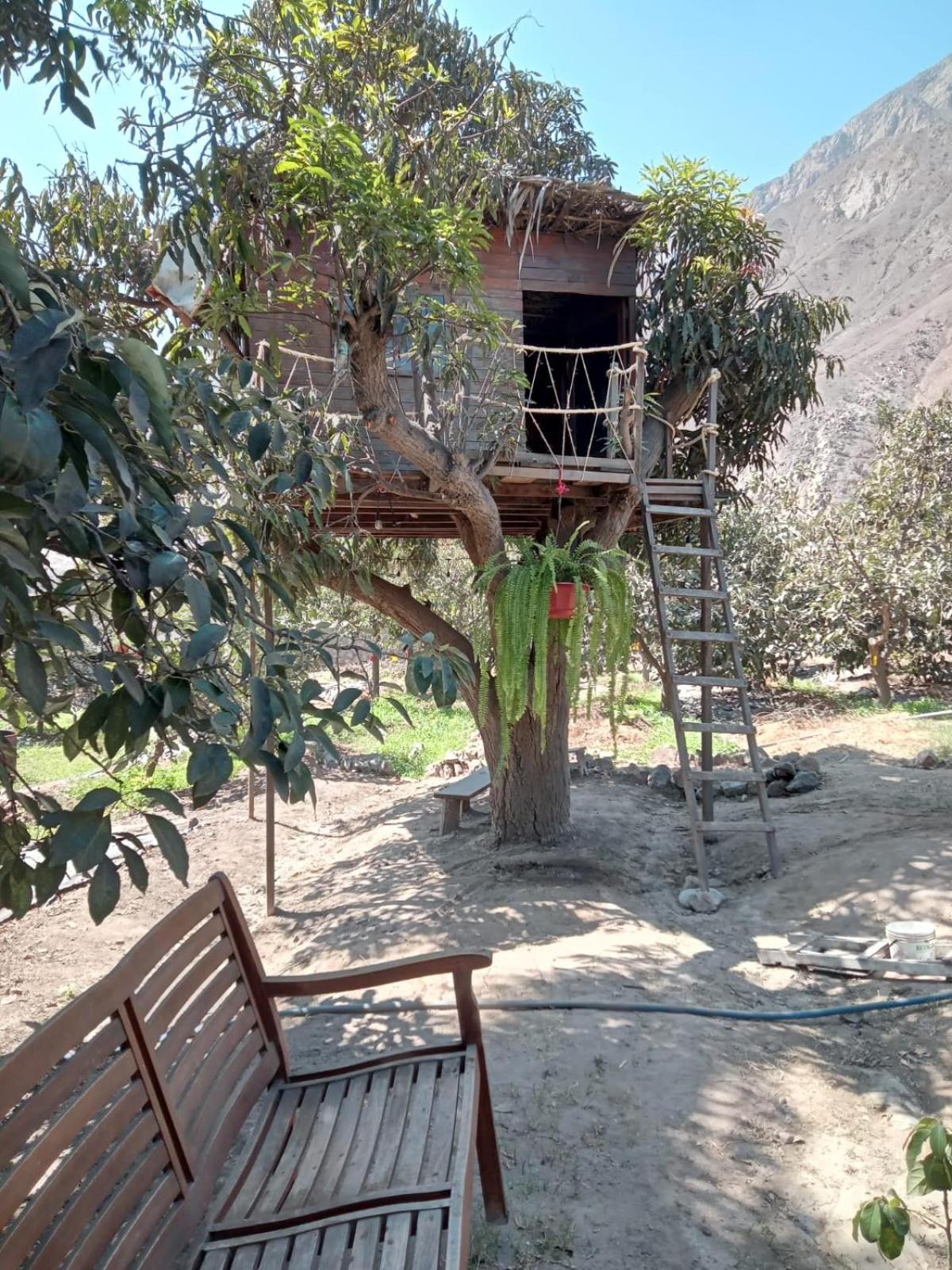 O En Fundo Huabayor Chalet Lima
